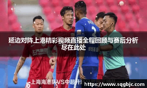 延边对阵上港精彩视频直播全程回顾与赛后分析尽在此处
