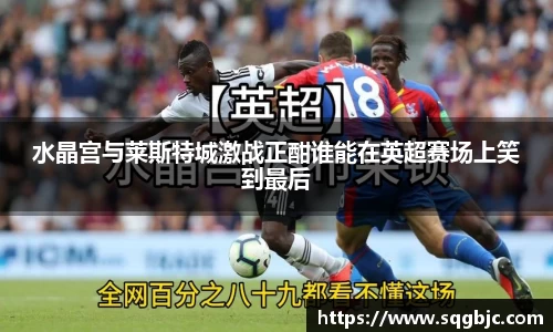 水晶宫与莱斯特城激战正酣谁能在英超赛场上笑到最后