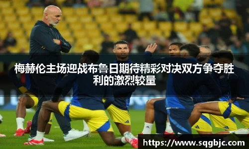 梅赫伦主场迎战布鲁日期待精彩对决双方争夺胜利的激烈较量